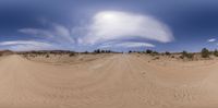 a panorama mirror view of a desert and some bushes on the side of a dirt road