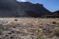 a field full of dry grass in front of mountain tops and hills, which is the sun rising