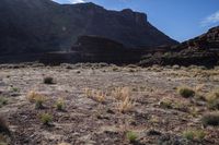 a field full of dry grass in front of mountain tops and hills, which is the sun rising