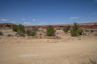 Moab, Utah: A Desert Road Landscape