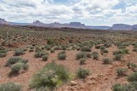Moab, Utah: Red Rock Mountains (002)