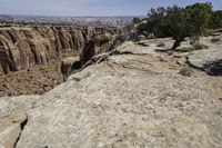 a man on top of a big cliff next to trees and rocks in the middle of a canyon