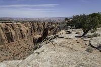 a man on top of a big cliff next to trees and rocks in the middle of a canyon