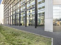 the building has glass walls and a sidewalk with green grass in it outside of it