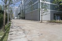 trees lining the sidewalk next to a building on a sunny day with no people outside