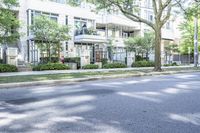 a road leading to some apartment buildings with cars on the curb and trees along it