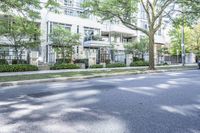 a road leading to some apartment buildings with cars on the curb and trees along it