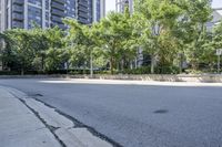 a car driving down an empty street lined with tall buildings and trees in the background