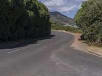 a long curved road with many trees and a mountain in the background in the distance