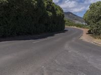 a long curved road with many trees and a mountain in the background in the distance