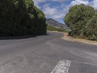 a long curved road with many trees and a mountain in the background in the distance