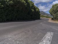 a long curved road with many trees and a mountain in the background in the distance