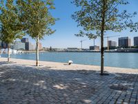 the people are enjoying a relaxing day near the water's edge on the brick path