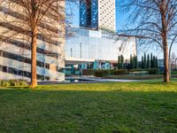 an open courtyard area has green grass, trees, and buildings on the other side