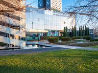 an open courtyard area has green grass, trees, and buildings on the other side