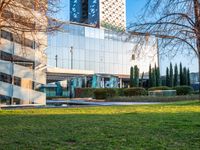 the walkway up to the building is surrounded by grassy area in front of it, with plants on either side and glass windows in back