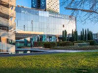 the walkway up to the building is surrounded by grassy area in front of it, with plants on either side and glass windows in back