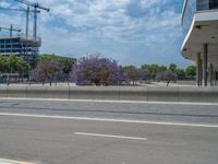 this is a photo of some buildings under construction, and trees and shrubs in a city