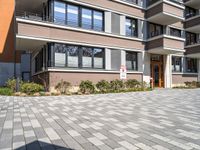 two brown building with large windows and no door are in a driveway in front of some bushes