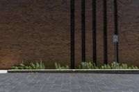 a fire hydrant outside a building with plants growing out of it on a sidewalk