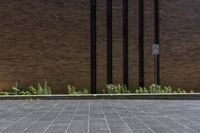 a fire hydrant outside a building with plants growing out of it on a sidewalk