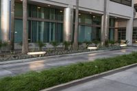 a long sidewalk outside a large building with plants and plants growing along one side of it