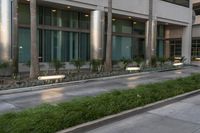 a long sidewalk outside a large building with plants and plants growing along one side of it