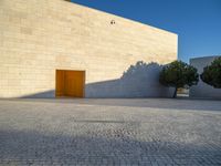 a concrete building with two trees at the front of it's entrance in a sunlit courtyard