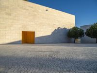 a concrete building with two trees at the front of it's entrance in a sunlit courtyard