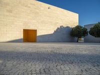 a concrete building with two trees at the front of it's entrance in a sunlit courtyard