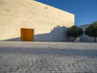 a concrete building with two trees at the front of it's entrance in a sunlit courtyard