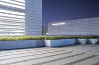 there is a large planter filled with plants outside on a street side building that is at night