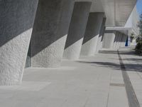 a walkway that leads to a building with columns on each side of it that has trees and plants on the ground