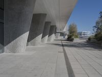 a walkway that leads to a building with columns on each side of it that has trees and plants on the ground