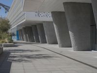 a walkway that leads to a building with columns on each side of it that has trees and plants on the ground