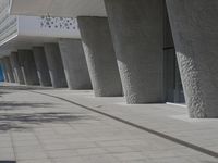 a walkway that leads to a building with columns on each side of it that has trees and plants on the ground