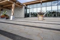 the walkway outside of the large building is stone and glass with several plants in flower pots on them