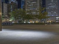 Modern Architecture in Chicago: Night Skyline