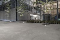 an empty cement road outside of a building with windows at the front of it with trees in the foreground