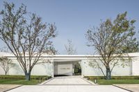 a row of trees are outside a modern building in the middle of the day with clear sky