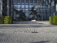 a paved street between two buildings and a building with a glass roof with plants on each floor