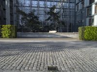 a paved street between two buildings and a building with a glass roof with plants on each floor