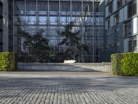 a paved street between two buildings and a building with a glass roof with plants on each floor