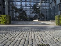 a paved street between two buildings and a building with a glass roof with plants on each floor