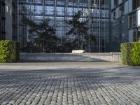 a paved street between two buildings and a building with a glass roof with plants on each floor