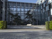 a paved street between two buildings and a building with a glass roof with plants on each floor