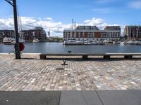 several benches near each other by the water with boats in it and some buildings in the background