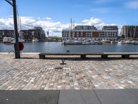 several benches near each other by the water with boats in it and some buildings in the background