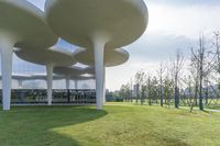 two curved white trees sit on the grass by an office building in a city park