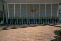 the door and windows of the entrance to the office building with large plants in pots on the wooden walkway